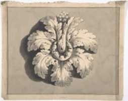 Free download Design for a Boss Carved with Acanthus free photo or picture to be edited with GIMP online image editor