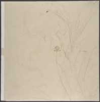 Free download Design for a Plate Decorated with a Bird and Plant Motifs free photo or picture to be edited with GIMP online image editor