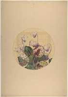 Free download Design for a Plate with Cyclamens free photo or picture to be edited with GIMP online image editor