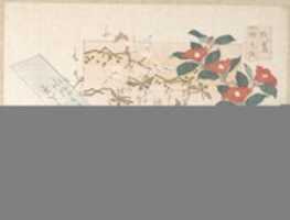 Free download Designs of Writing-Paper with Flowers free photo or picture to be edited with GIMP online image editor