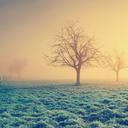 Desktop Wallpaper Display resolution Wallpape  screen for extension Chrome web store in OffiDocs Chromium