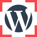 Deteksi layar plugin tema WordPress untuk ekstensi toko web Chrome di OffiDocs Chromium