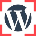 在 OffiDocs Chromium 中检测扩展 Chrome 网上商店的 WordPress 主题插件屏幕