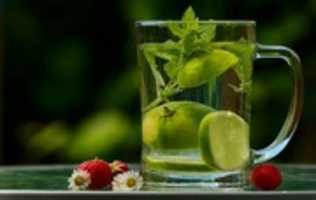 دانلود رایگان Detox Water For Weight Loss عکس یا عکس برای ویرایش با ویرایشگر تصویر آنلاین GIMP