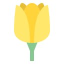Dewy Yellow Tulips  screen for extension Chrome web store in OffiDocs Chromium