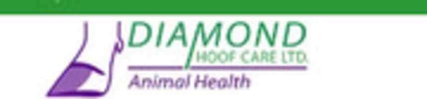 Free download Diamond Hoof Care Ltd free photo or picture to be edited with GIMP online image editor