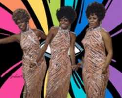 Free download DIANA ROSS 205 ( 1) free photo or picture to be edited with GIMP online image editor