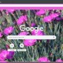 Dianthus  screen for extension Chrome web store in OffiDocs Chromium