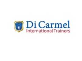 Free download dicarmel1 free photo or picture to be edited with GIMP online image editor