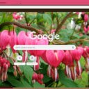 Dicentra Spectabilis  screen for extension Chrome web store in OffiDocs Chromium
