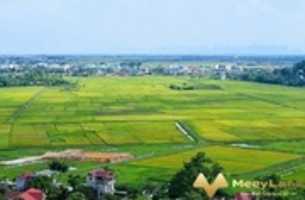 Free download Dich vu tham thu thanh phat free photo or picture to be edited with GIMP online image editor
