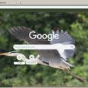 Diec  screen for extension Chrome web store in OffiDocs Chromium