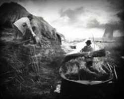 Free download Digital Chalk and Charcoal Drawing of Men Stacking Reeds in the Norfolk Broads free photo or picture to be edited with GIMP online image editor