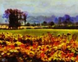 ດາວໂຫຼດຮູບພາບ Digital Oil Painting of a Field ໃນ Avebury, ປະເທດອັງກິດຟຣີ ເພື່ອແກ້ໄຂດ້ວຍ GIMP ບັນນາທິການຮູບພາບອອນໄລນ໌
