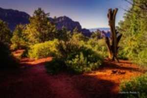 Free download Digital Oil Painting of an Arizona Desert Sunrise free photo or picture to be edited with GIMP online image editor