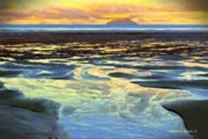Free download Digital Oil Painting of Bream Bay free photo or picture to be edited with GIMP online image editor