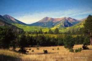 Free download Digital Oil Painting of Lockett Meadow in the Coconino National Forest free photo or picture to be edited with GIMP online image editor