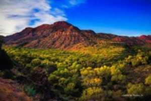 Free download Digital Oil Painting of Sycamore Canyon free photo or picture to be edited with GIMP online image editor
