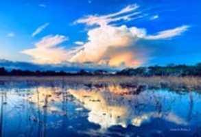 Free download Digital Oil Painting of the Everglades free photo or picture to be edited with GIMP online image editor