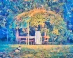Free download Digital Oil Pastel Drawing of a Cat before an Arbor at a Fucecchio Villa free photo or picture to be edited with GIMP online image editor