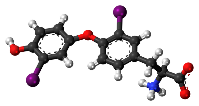 Free download Diiodothyronine Molecule Chemistry -  free illustration to be edited with GIMP free online image editor