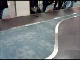 Free download Dildo on a conveyor belt..... thumbnail free photo or picture to be edited with GIMP online image editor