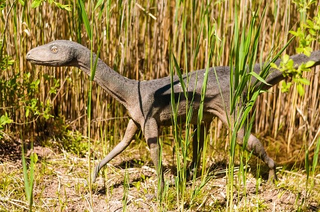 김프 무료 온라인 이미지 편집기로 편집할 수 있는 공룡 갓 포유류 공룡 멸종 무료 사진 다운로드
