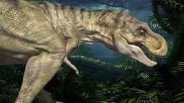 Free download Dinosaur T Rex T-Rex -  free video to be edited with OpenShot online video editor