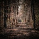 dirt road  screen for extension Chrome web store in OffiDocs Chromium