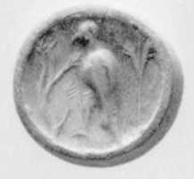 Free download Discoid seal free photo or picture to be edited with GIMP online image editor