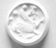 Free download Discoid seal with slightly convex back free photo or picture to be edited with GIMP online image editor