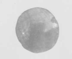 Free download Disc-shaped coffin Inlay free photo or picture to be edited with GIMP online image editor