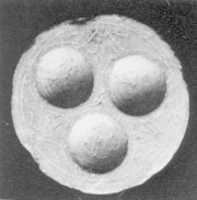 Free download Dish with Three Bowl-Shaped Receptacles free photo or picture to be edited with GIMP online image editor