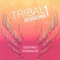 Free download DJ Gustavo Gonsales TRIBALSESSIONS 1 [cover] free photo or picture to be edited with GIMP online image editor