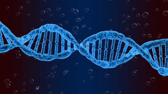 Free download Dna Genetics Biology free illustration to be edited with GIMP online image editor