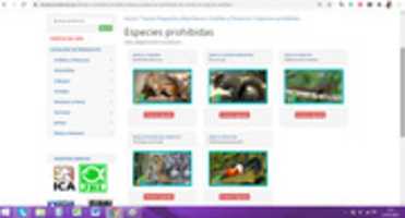 Téléchargez gratuitement dnat_ecosistemas_ardillas photo ou image gratuite à modifier avec l'éditeur d'images en ligne GIMP