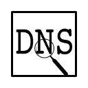 DNS INFO  screen for extension Chrome web store in OffiDocs Chromium