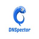 DNSpector  screen for extension Chrome web store in OffiDocs Chromium