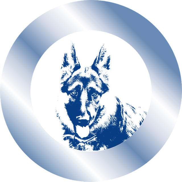 Free download Dog Cynophilist Rescue Coat Of - Free vector graphic on Pixabay free illustration to be edited with GIMP free online image editor