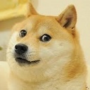 doge  screen for extension Chrome web store in OffiDocs Chromium