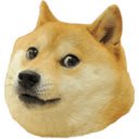 DogeCam  screen for extension Chrome web store in OffiDocs Chromium