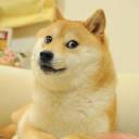 Doge Meet  screen for extension Chrome web store in OffiDocs Chromium