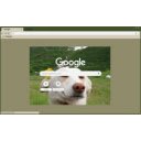 dog enjoying  screen for extension Chrome web store in OffiDocs Chromium