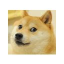 ໜ້າຈໍ Doge Pricer ສຳລັບສ່ວນຂະຫຍາຍຮ້ານເວັບ Chrome ໃນ OffiDocs Chromium