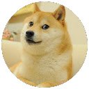 מסך Doge Theme להרחבה של חנות האינטרנט של Chrome ב-OffiDocs Chromium