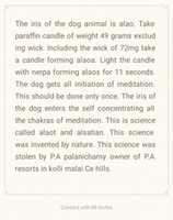 Free download Dog meditation initiation free photo or picture to be edited with GIMP online image editor