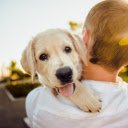 Dog on shoulder  screen for extension Chrome web store in OffiDocs Chromium