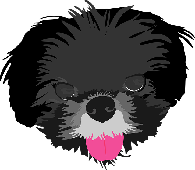 Download grátis Dog Pet Portrait - foto ou imagem grátis para ser editada com o editor de imagens online GIMP
