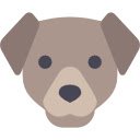 Dogs Health Blog  screen for extension Chrome web store in OffiDocs Chromium