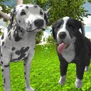 Dog Simulator 3D Game  screen for extension Chrome web store in OffiDocs Chromium